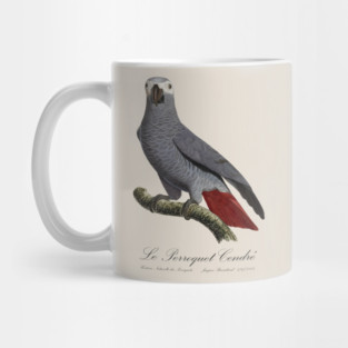 African Grey Parrot / Le Perroquet Cendre - 19th century Jacques Barraband Illustration Mug
