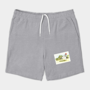 Nelson Atkins Museum Shorts