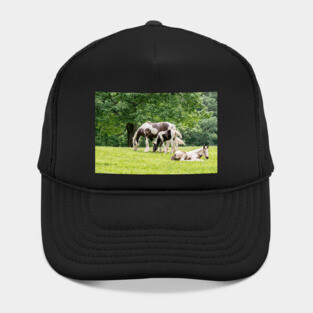 Lazy Grazing Horses Hat