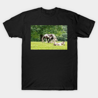 Lazy Grazing Horses T-Shirt
