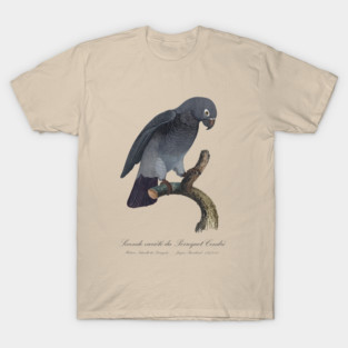 Timneh African Grey Parrot  / Seconde variete du Perroquet Cendre - 19th century Jacques Barraband Illustration T-Shirt