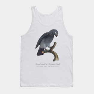Timneh African Grey Parrot  / Seconde variete du Perroquet Cendre - 19th century Jacques Barraband Illustration Tank Top