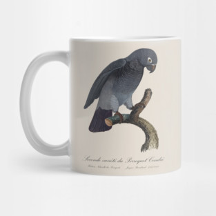 Timneh African Grey Parrot  / Seconde variete du Perroquet Cendre - 19th century Jacques Barraband Illustration Mug