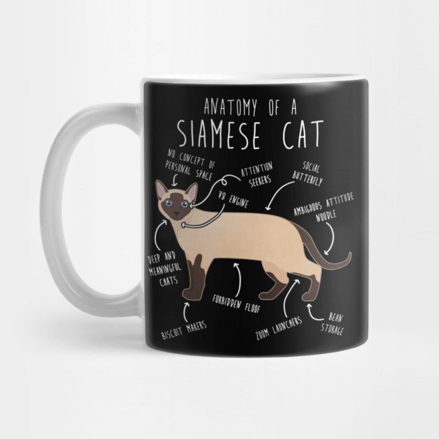 Siamese Cat Anatomy by Psitta