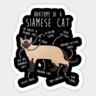 Siamese Cat Anatomy Magnet