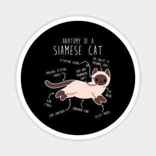 Siamese Cat Anatomy Magnet