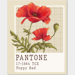 Pantone Poppy red flower Posters and Art