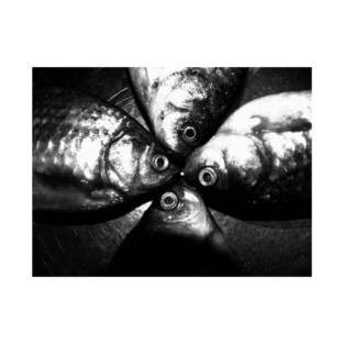 fishXkiss T-Shirt
