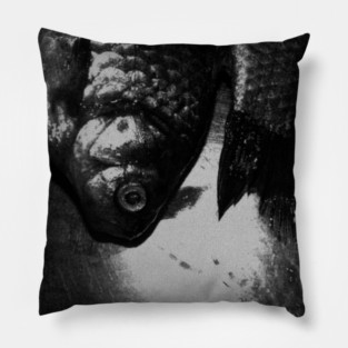 |fishes| Pillow