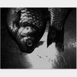 |fishes| Posters and Art