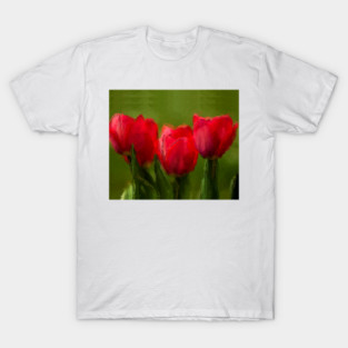 Red Tulips T-Shirt