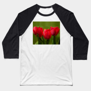 Red Tulips Baseball T-Shirt