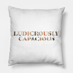 Ludicrously Capacious Pillow