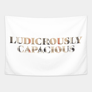 Ludicrously Capacious Tapestry