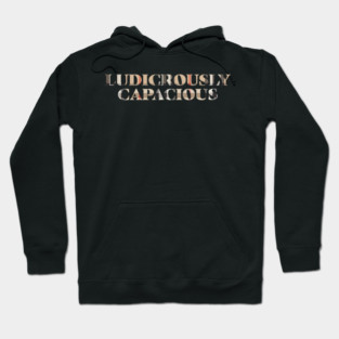 Ludicrously Capacious Hoodie