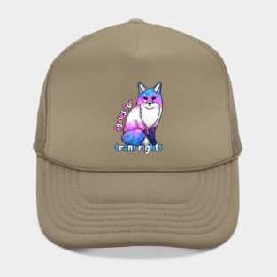 Foxies For Trans Rights Hat