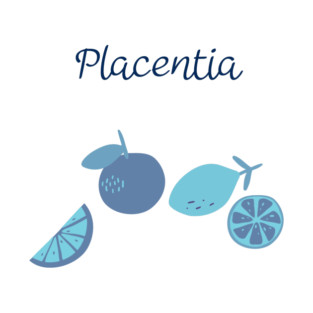 City Of Placentia T-Shirt