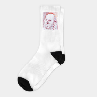 Herbert Spencer Portrait | Herbert Spencer Artwork | Line Art Socks