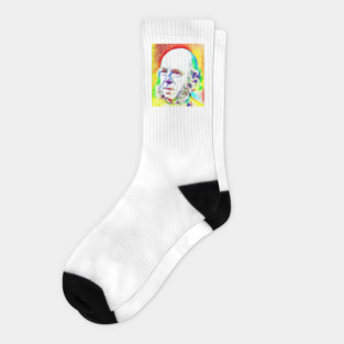 Herbert Spencer Colouful Portrait | Herbert Spencer Artwork 11 Socks