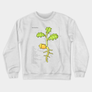 Oak Seedling Diagram Crewneck Sweatshirt