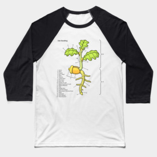 Oak Seedling Diagram Baseball T-Shirt