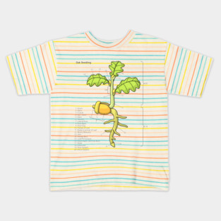 Oak Seedling Diagram Kids T-Shirt