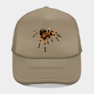Tarantula Hat