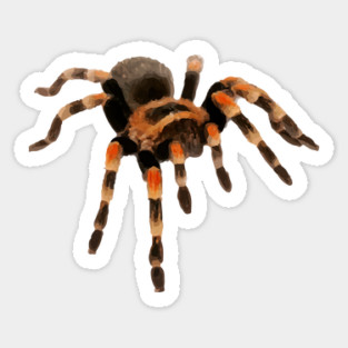 Tarantula Sticker