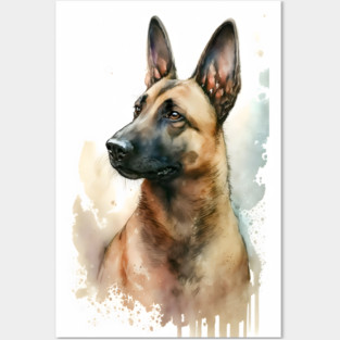 Belgian Malinois Dog Watercolor Portrait Posters and Art