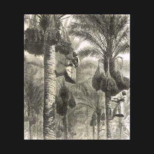 Gathering dates in Ceylon (Sri Lanka) 1876 T-Shirt