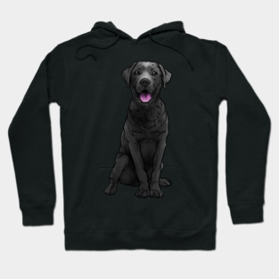 Black Labrador Retriever Dog Black Lab Hoodie