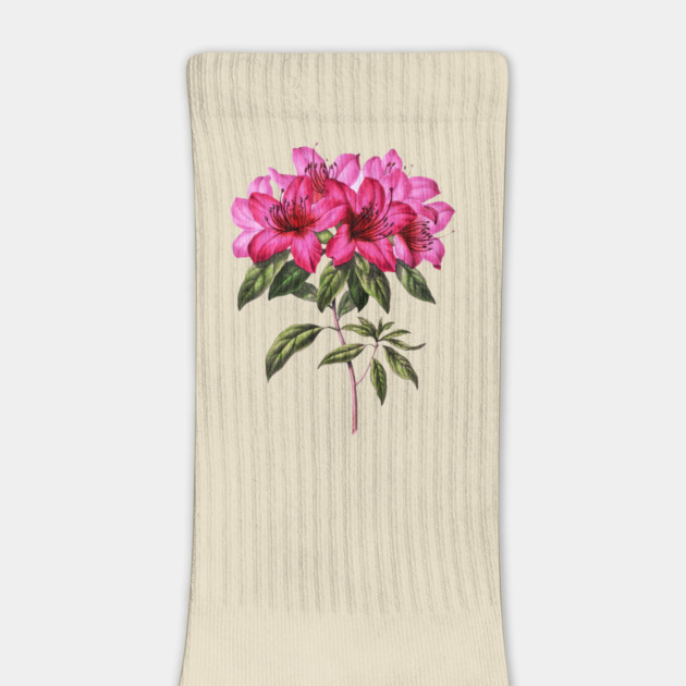 pink azalea flower by Darksavage