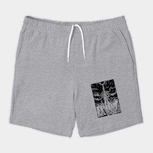 Incarnation of Kings Shorts