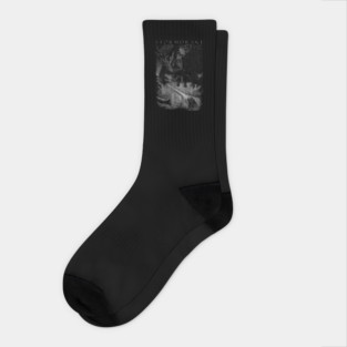 Stormdrake Socks