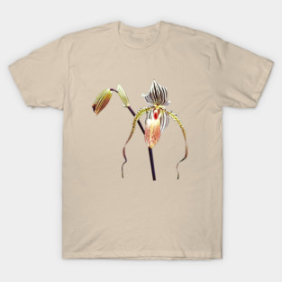Orchid - Paph Taiwan T-Shirt