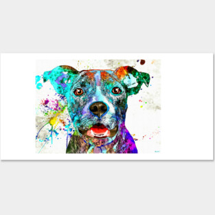 American Pit Bull Terrier Posters and Art