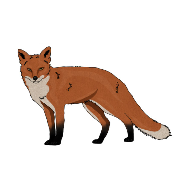 Fox design by logiamerch