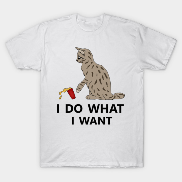 I do what I want Cat Funny Cat Lover T-Shirt by logiamerch