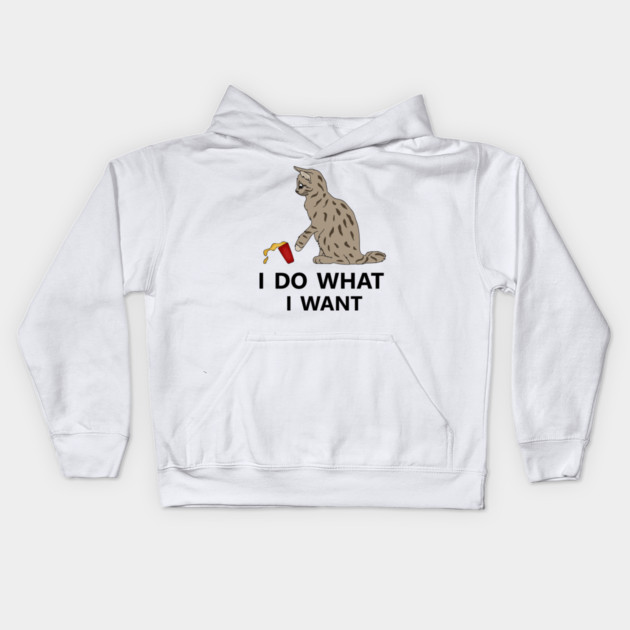 I do what I want Cat Funny Cat Lover Kids Hoodie by logiamerch
