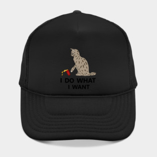 I do what I want Cat Funny Cat Lover Hat