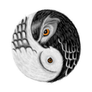 Owl Yin Yang, Love Owls, Zen Meditation T-Shirt