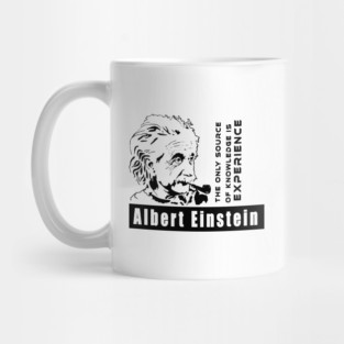 The only source of knowledge is experience Mug