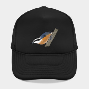 Red-Breasted Nuthatch Hat