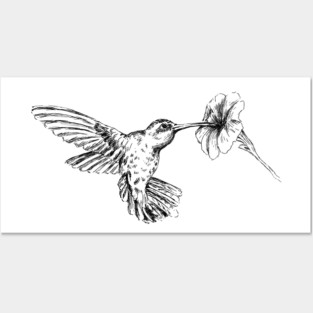 Hummingbird Posters and Art