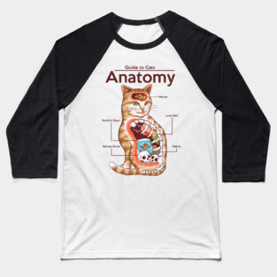 Anatomy of a Cat Baseball T-Shirt