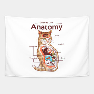 Anatomy of a Cat Tapestry