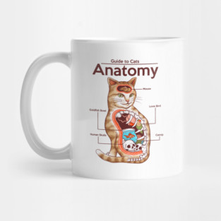 Anatomy of a Cat Mug