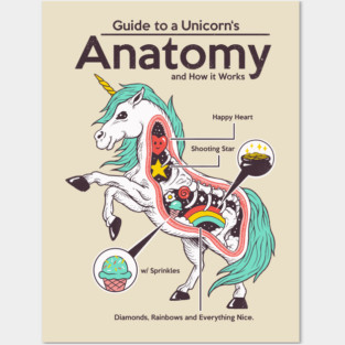 Anatomy of a Unicorn Posters and Art