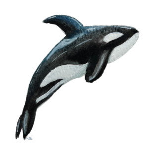 Wild and Free in the Salish Sea T-Shirt