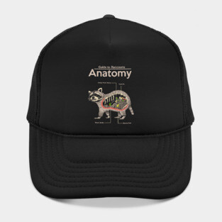 Anatomy of a Raccoon Hat